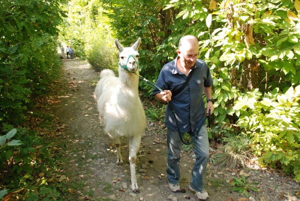 accompagnateur avec lama